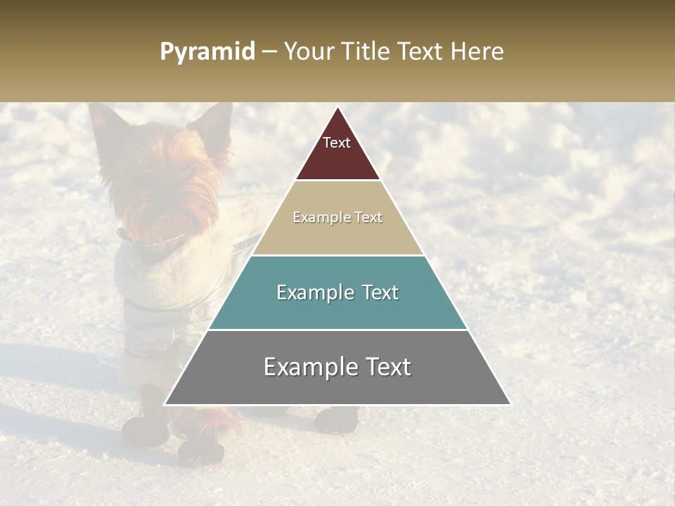 Wave Coast Sand PowerPoint Template