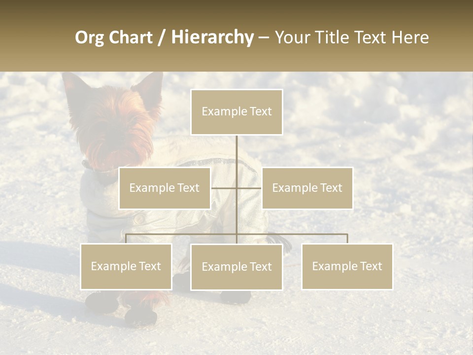 Wave Coast Sand PowerPoint Template