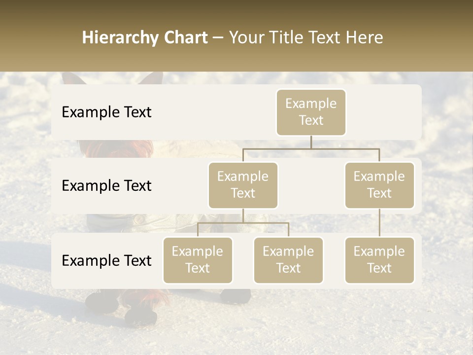 Wave Coast Sand PowerPoint Template