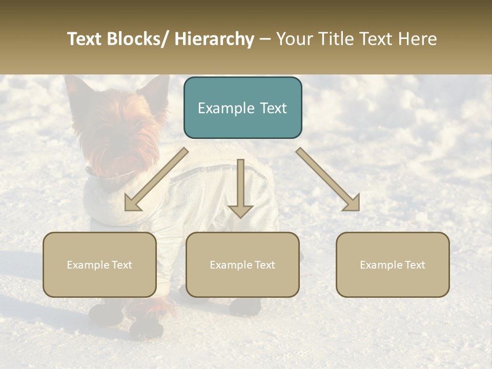 Wave Coast Sand PowerPoint Template