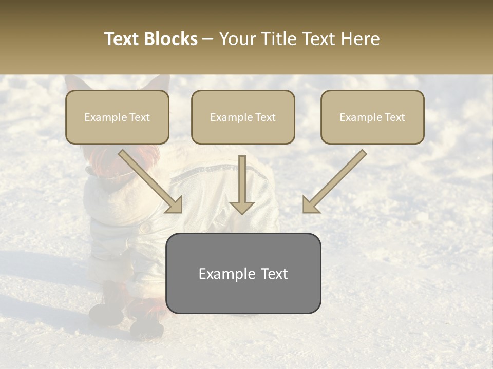 Wave Coast Sand PowerPoint Template