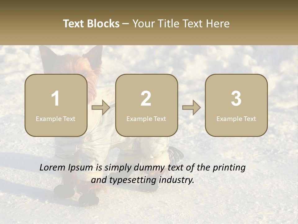 Wave Coast Sand PowerPoint Template