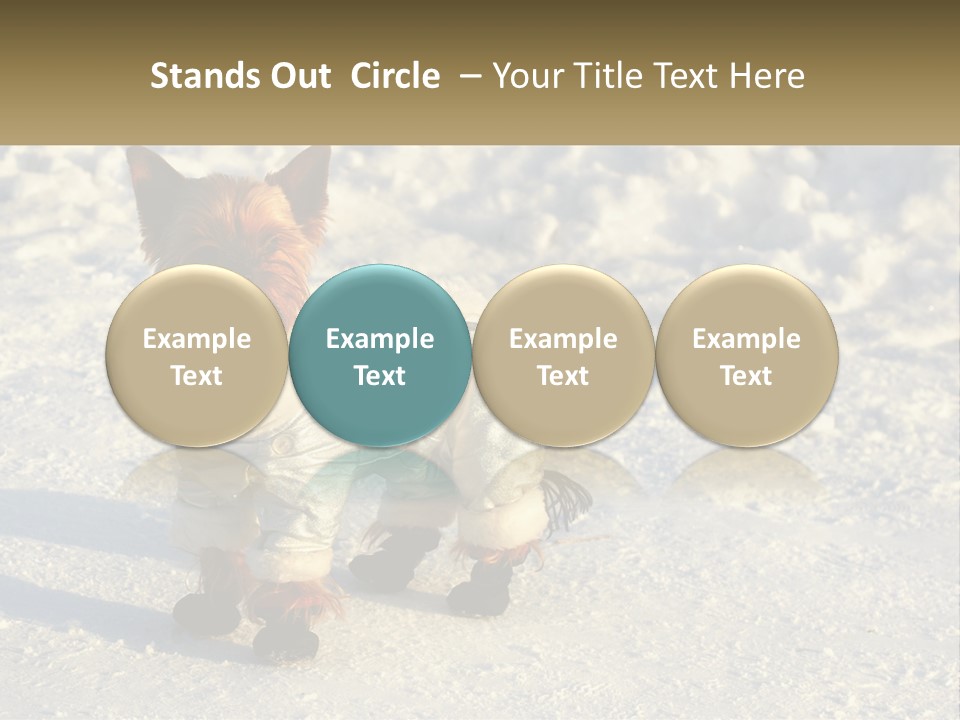 Wave Coast Sand PowerPoint Template