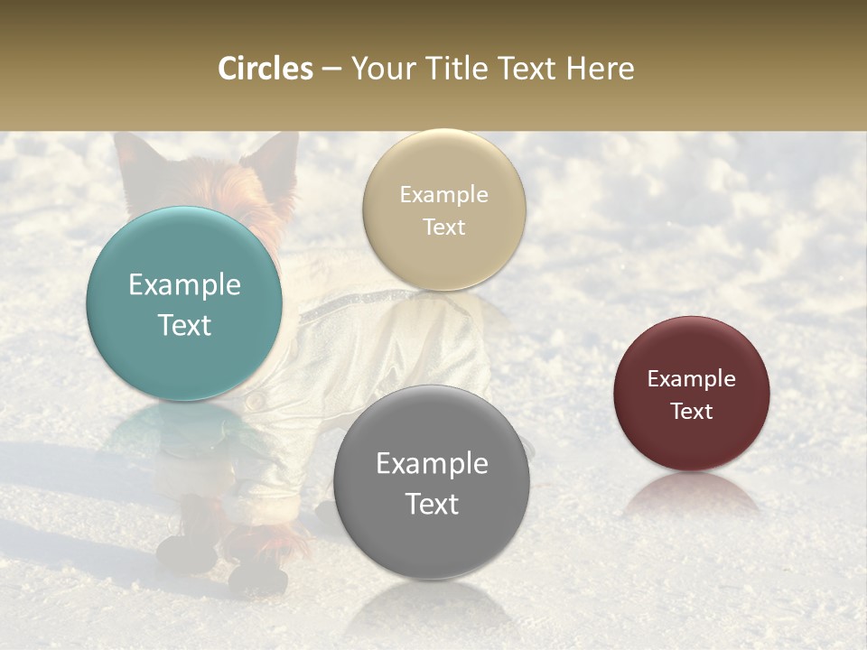 Wave Coast Sand PowerPoint Template