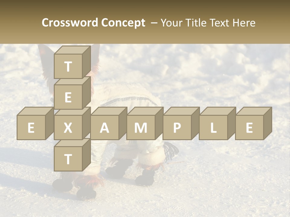 Wave Coast Sand PowerPoint Template