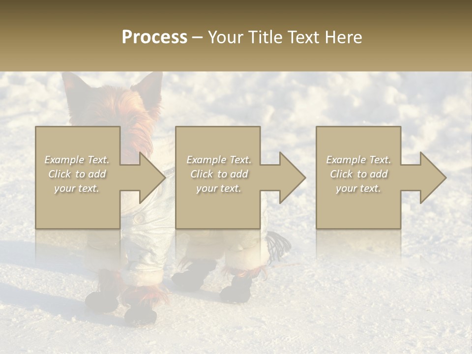 Wave Coast Sand PowerPoint Template