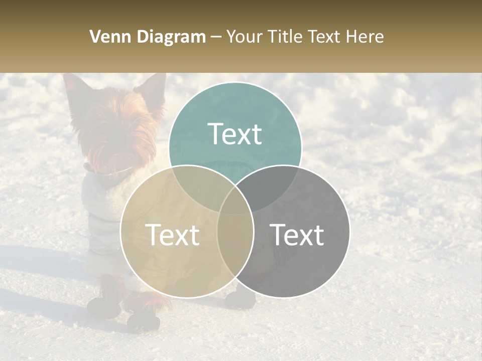 Wave Coast Sand PowerPoint Template