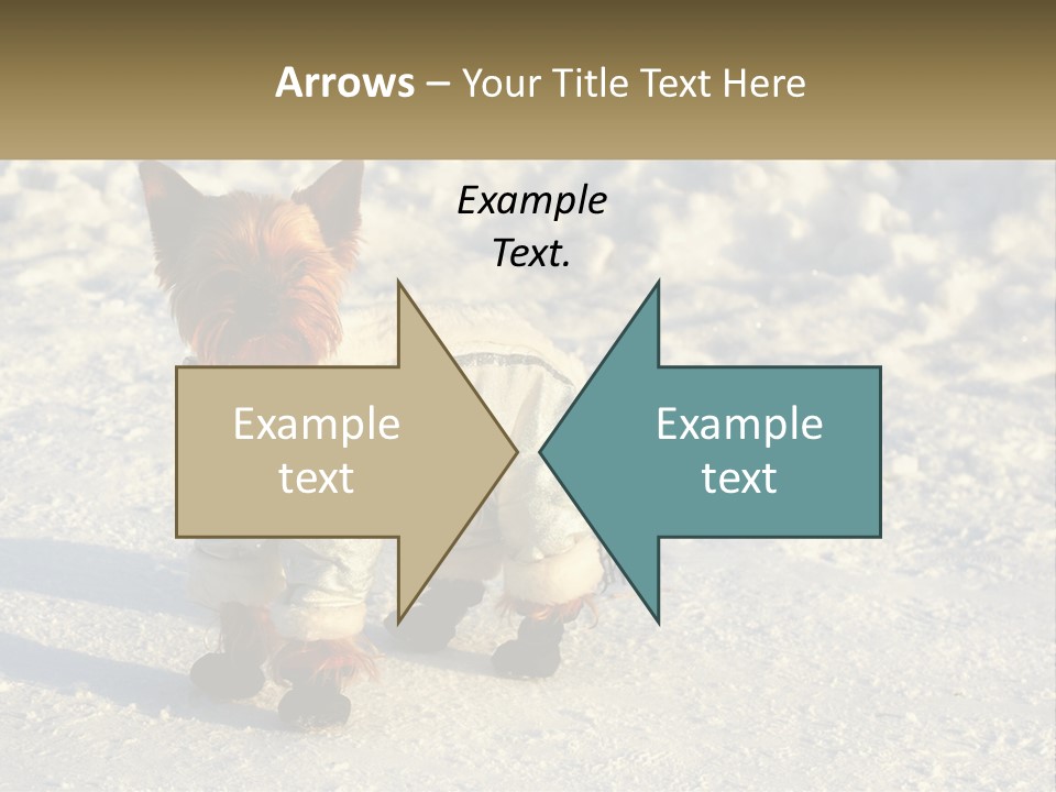 Wave Coast Sand PowerPoint Template