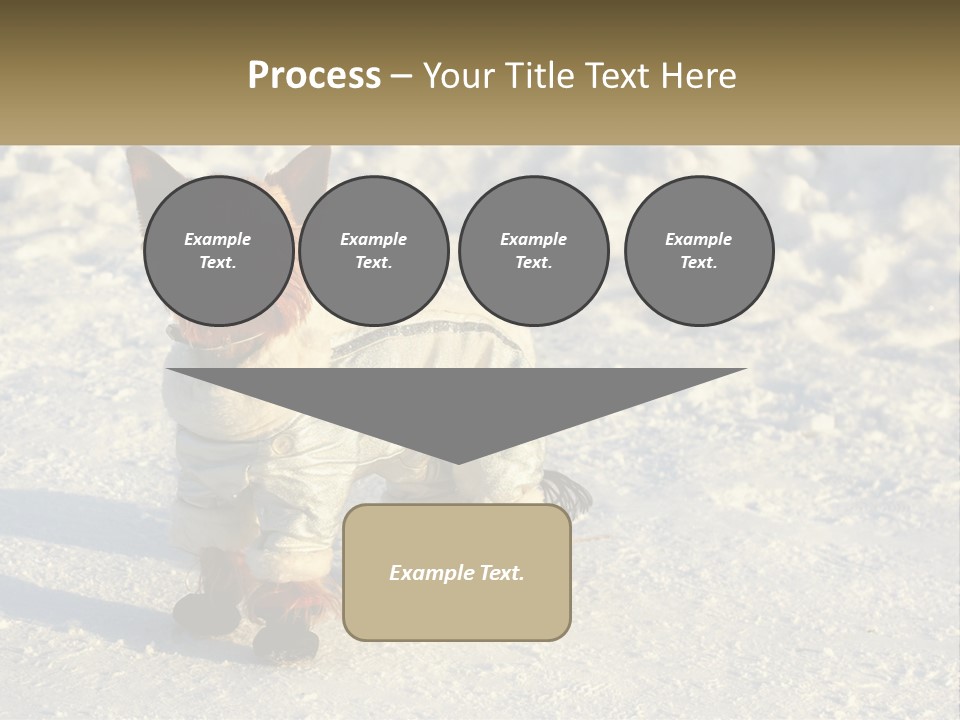 Wave Coast Sand PowerPoint Template