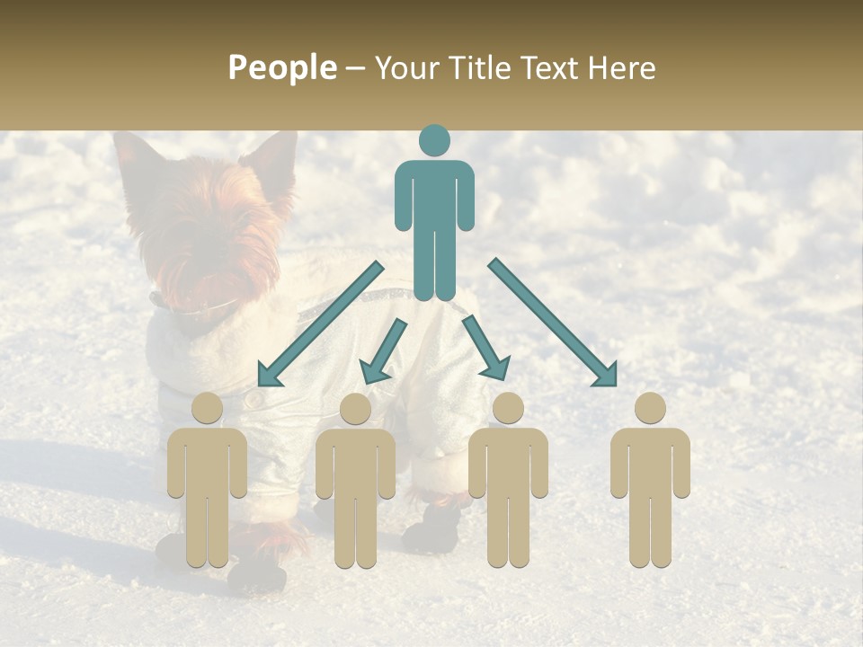 Wave Coast Sand PowerPoint Template