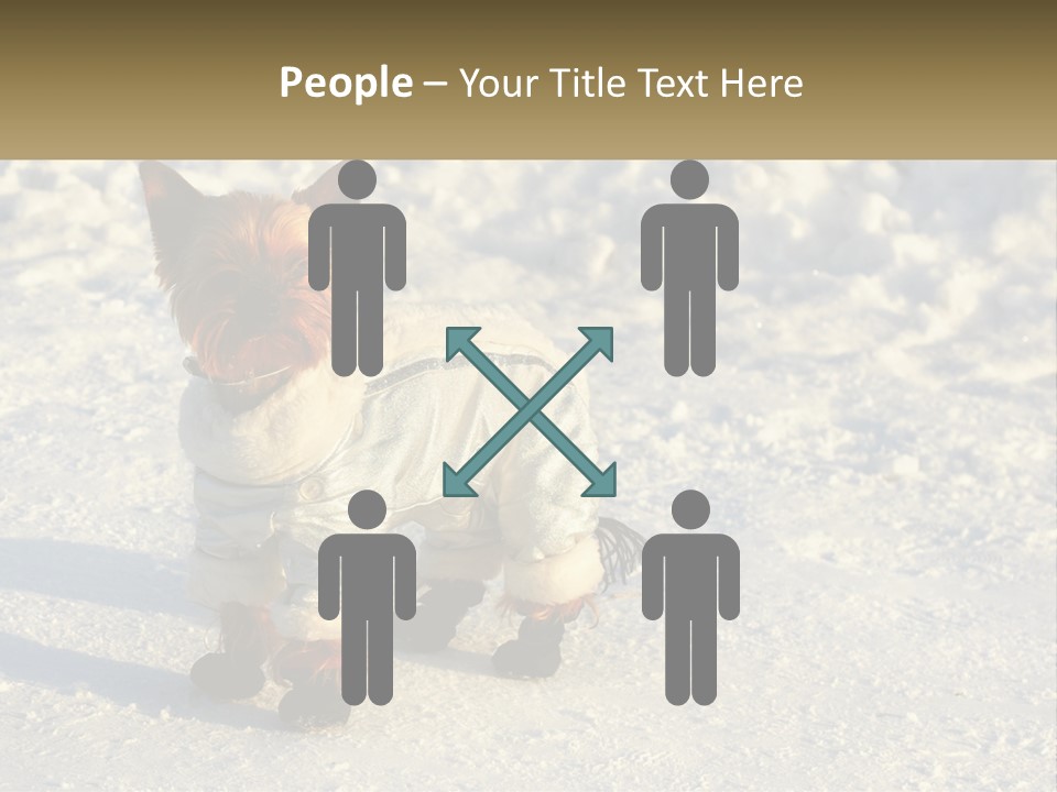 Wave Coast Sand PowerPoint Template