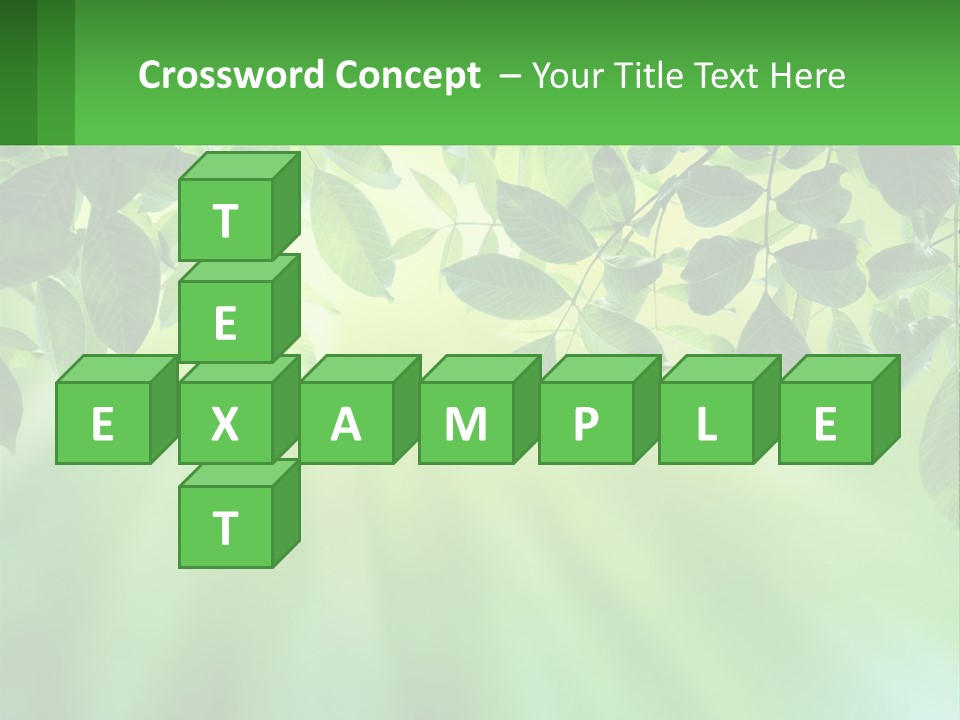 Single Older Elderly PowerPoint Template