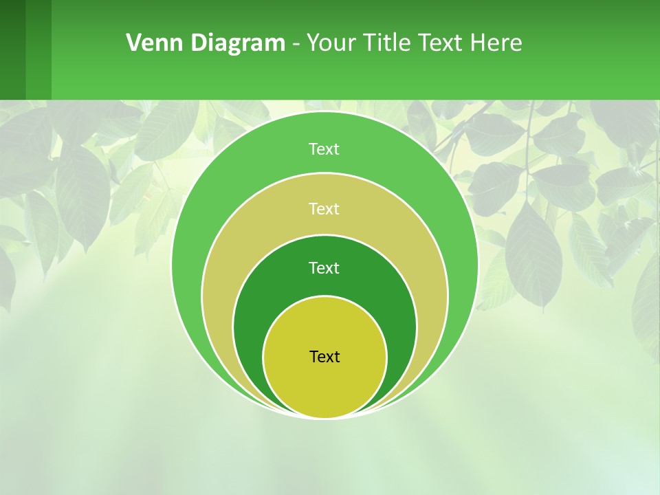 Single Older Elderly PowerPoint Template