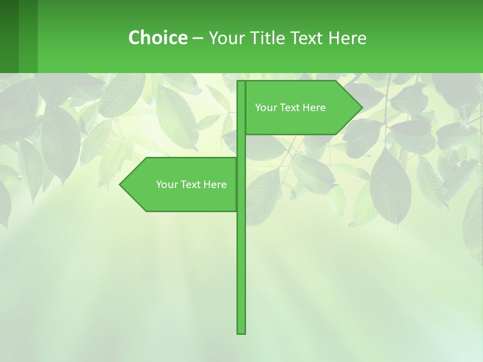 Single Older Elderly PowerPoint Template