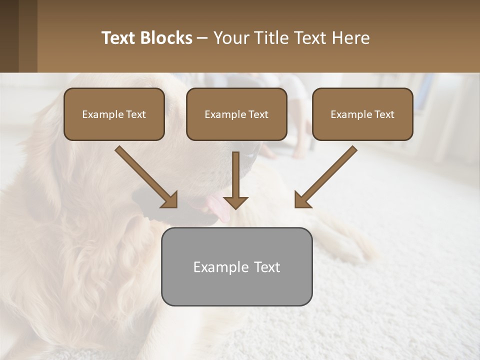 Parent Elderly Standing PowerPoint Template