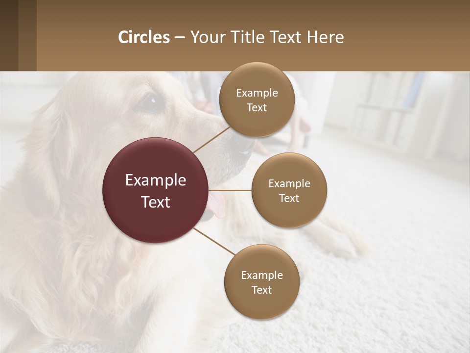 Parent Elderly Standing PowerPoint Template