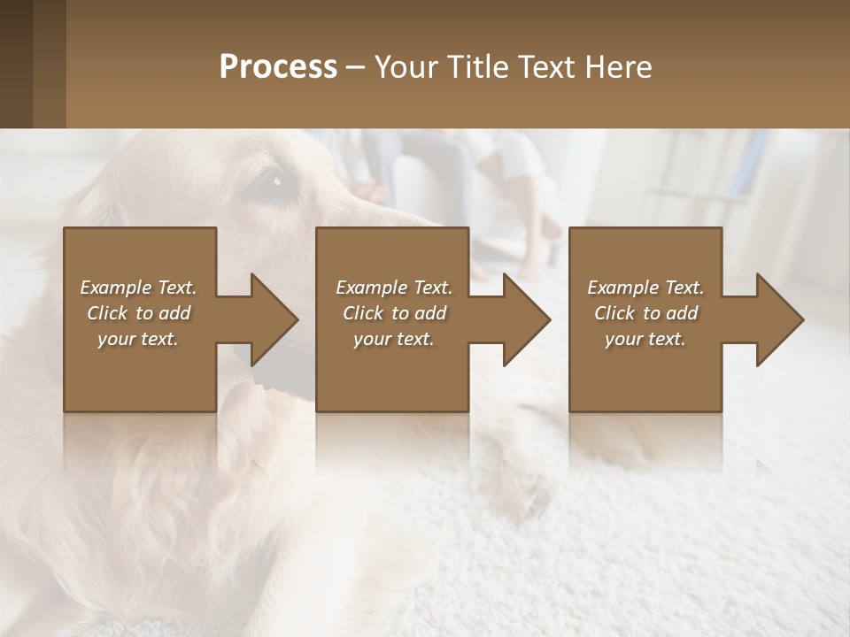 Parent Elderly Standing PowerPoint Template