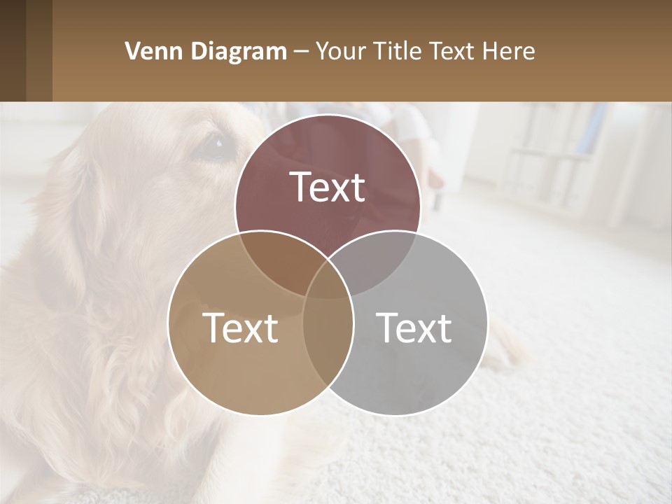 Parent Elderly Standing PowerPoint Template