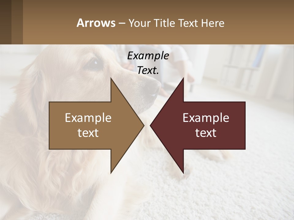 Parent Elderly Standing PowerPoint Template