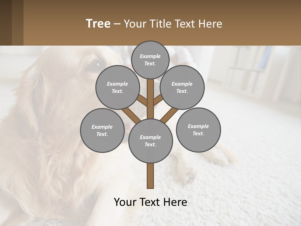 Parent Elderly Standing PowerPoint Template