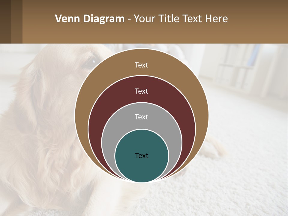 Parent Elderly Standing PowerPoint Template