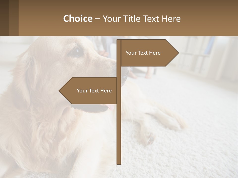 Parent Elderly Standing PowerPoint Template