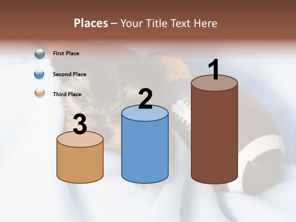 Woman Elderly Lifestyle PowerPoint Template