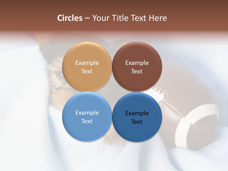 Woman Elderly Lifestyle PowerPoint Template