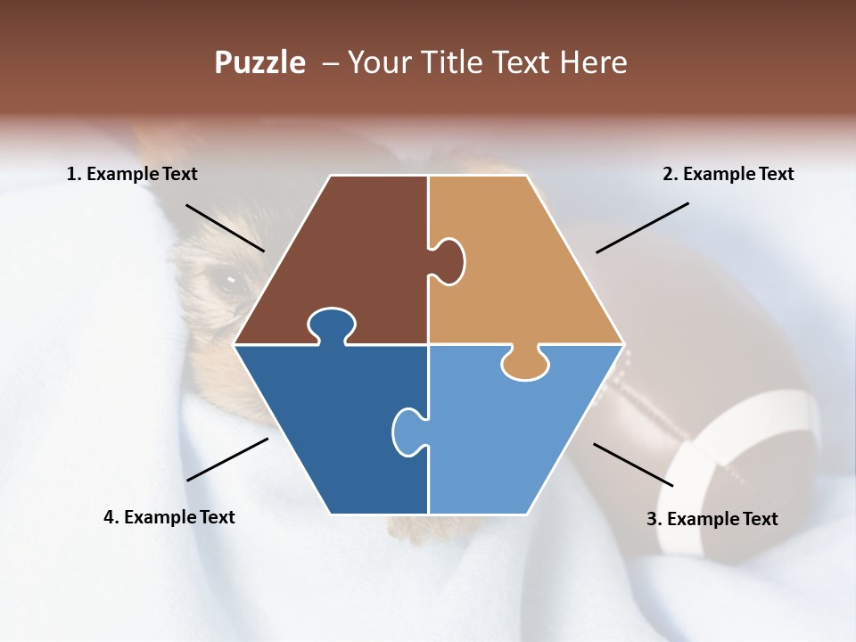 Woman Elderly Lifestyle PowerPoint Template