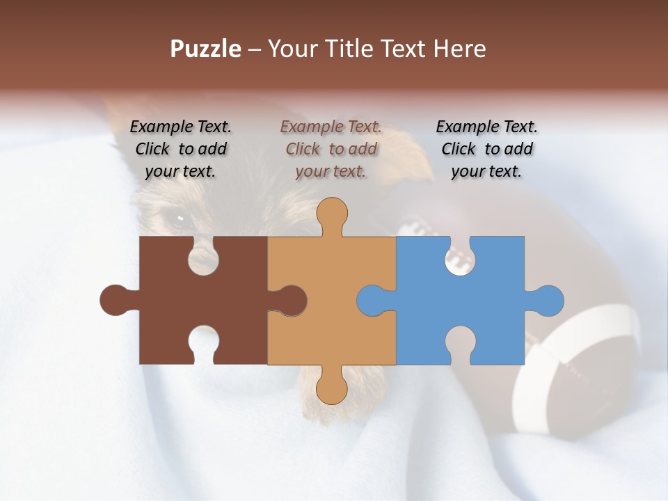 Woman Elderly Lifestyle PowerPoint Template