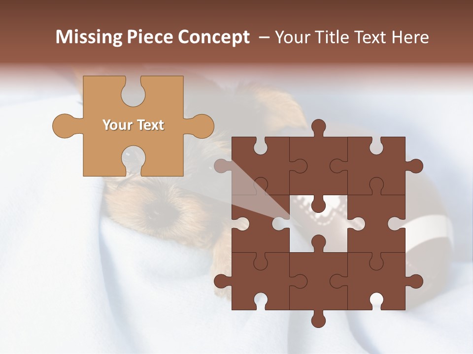 Woman Elderly Lifestyle PowerPoint Template