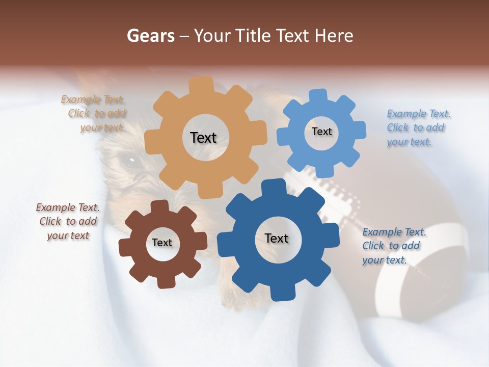 Woman Elderly Lifestyle PowerPoint Template