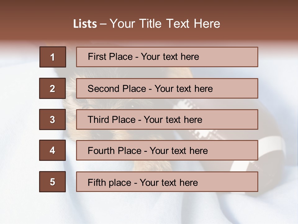 Woman Elderly Lifestyle PowerPoint Template