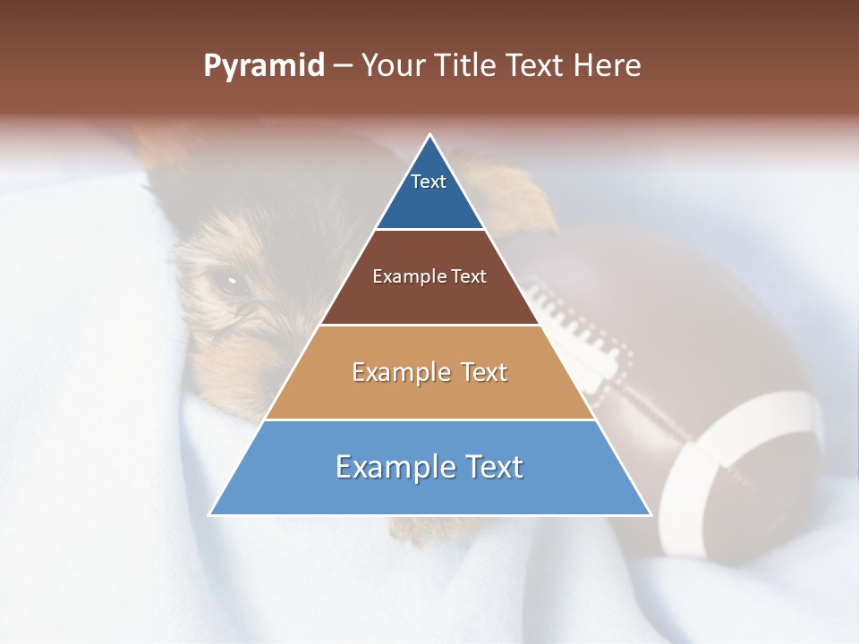 Woman Elderly Lifestyle PowerPoint Template