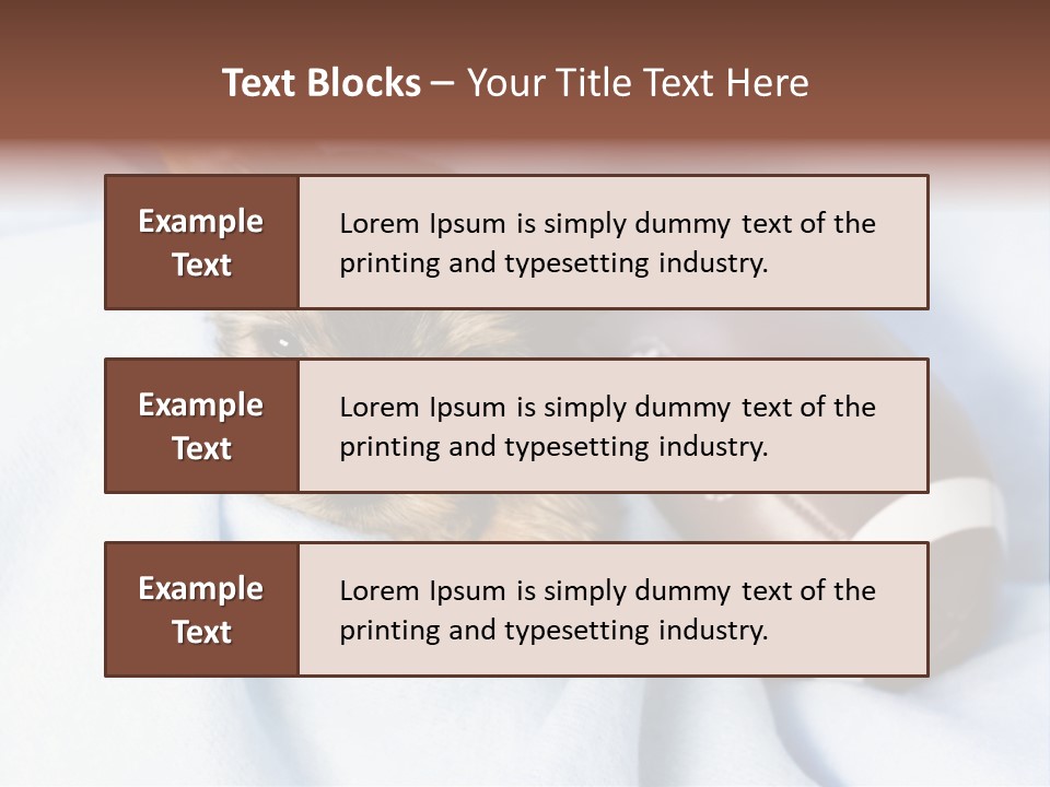 Woman Elderly Lifestyle PowerPoint Template