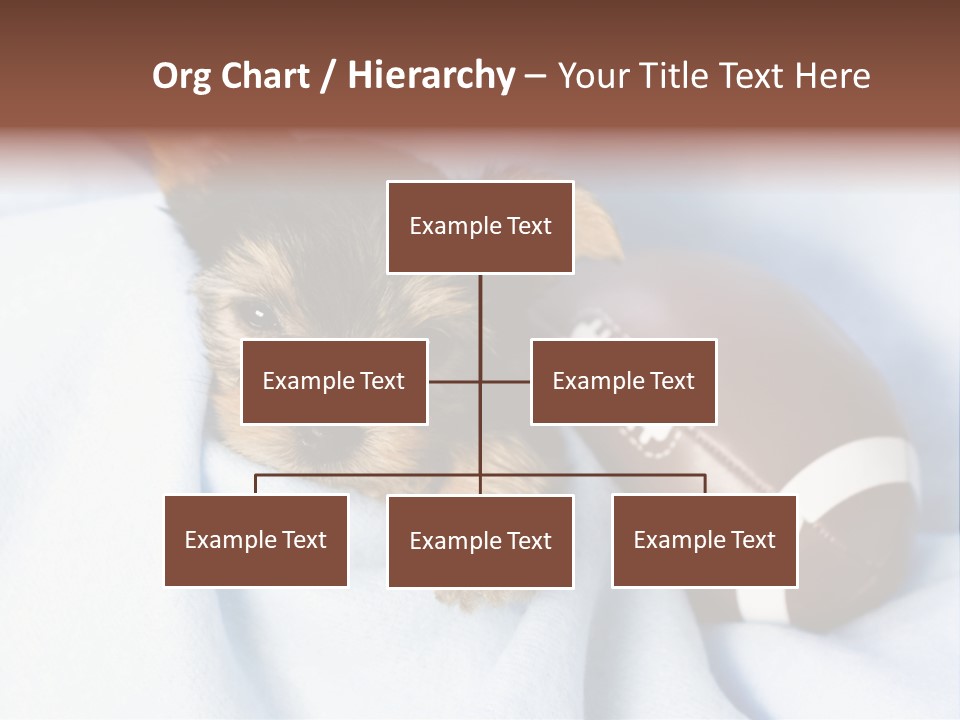 Woman Elderly Lifestyle PowerPoint Template