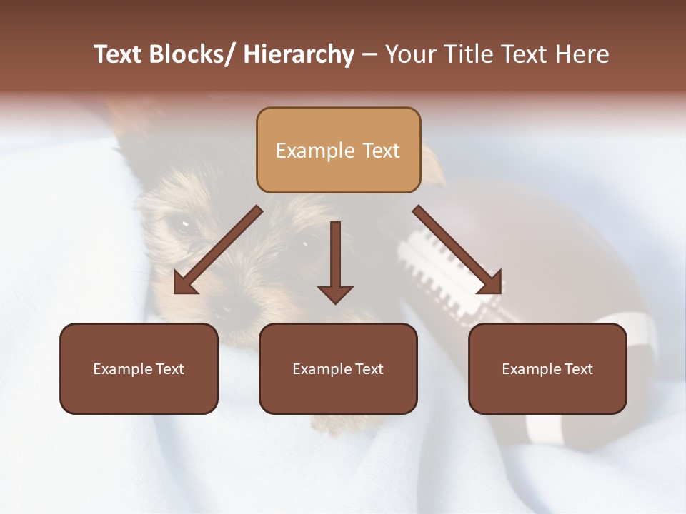 Woman Elderly Lifestyle PowerPoint Template