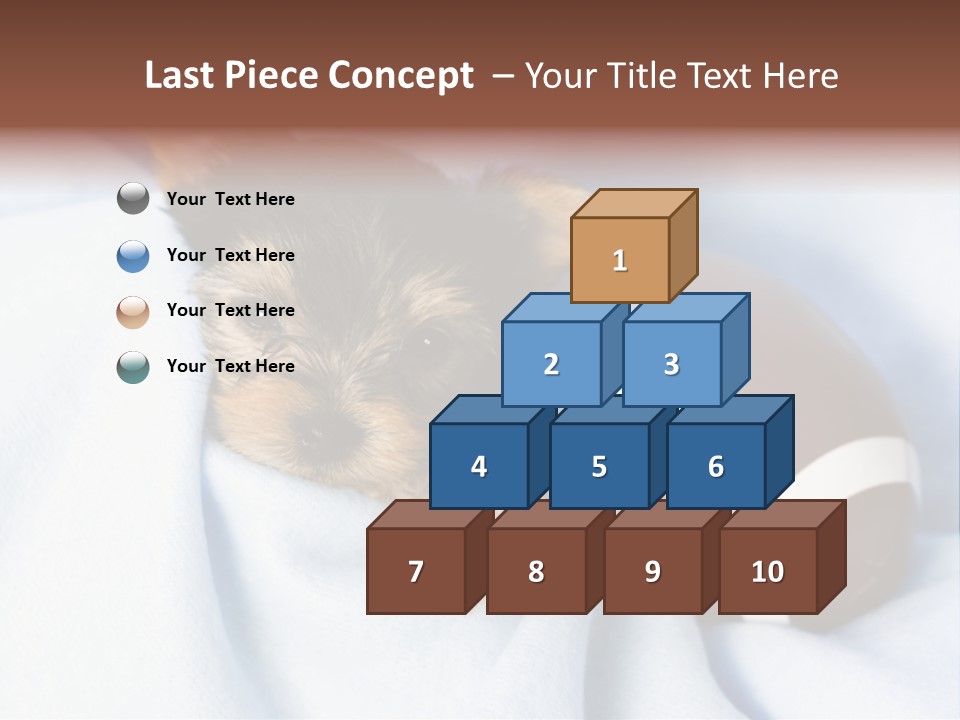 Woman Elderly Lifestyle PowerPoint Template