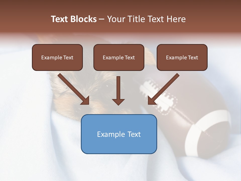 Woman Elderly Lifestyle PowerPoint Template