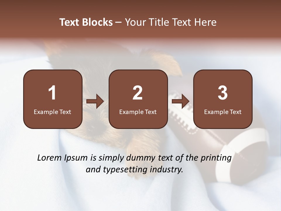 Woman Elderly Lifestyle PowerPoint Template