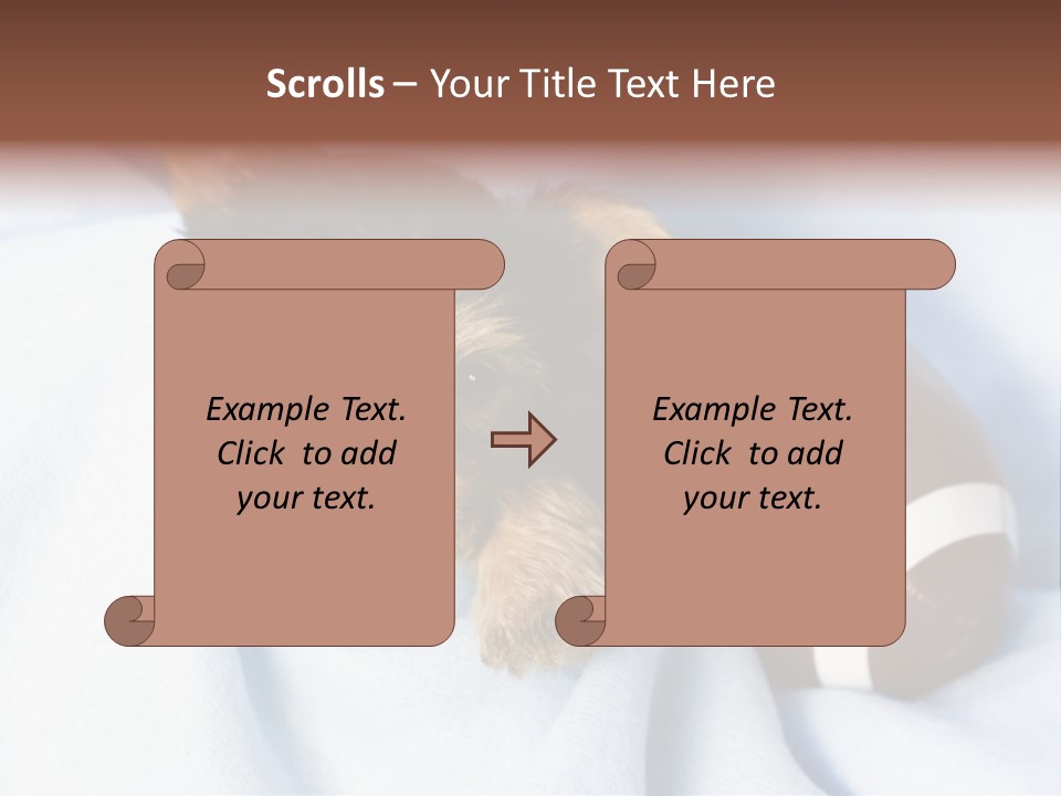 Woman Elderly Lifestyle PowerPoint Template