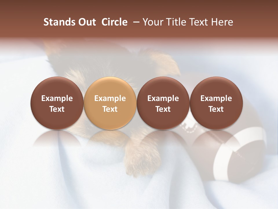 Woman Elderly Lifestyle PowerPoint Template