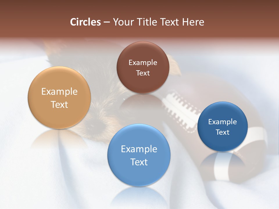 Woman Elderly Lifestyle PowerPoint Template