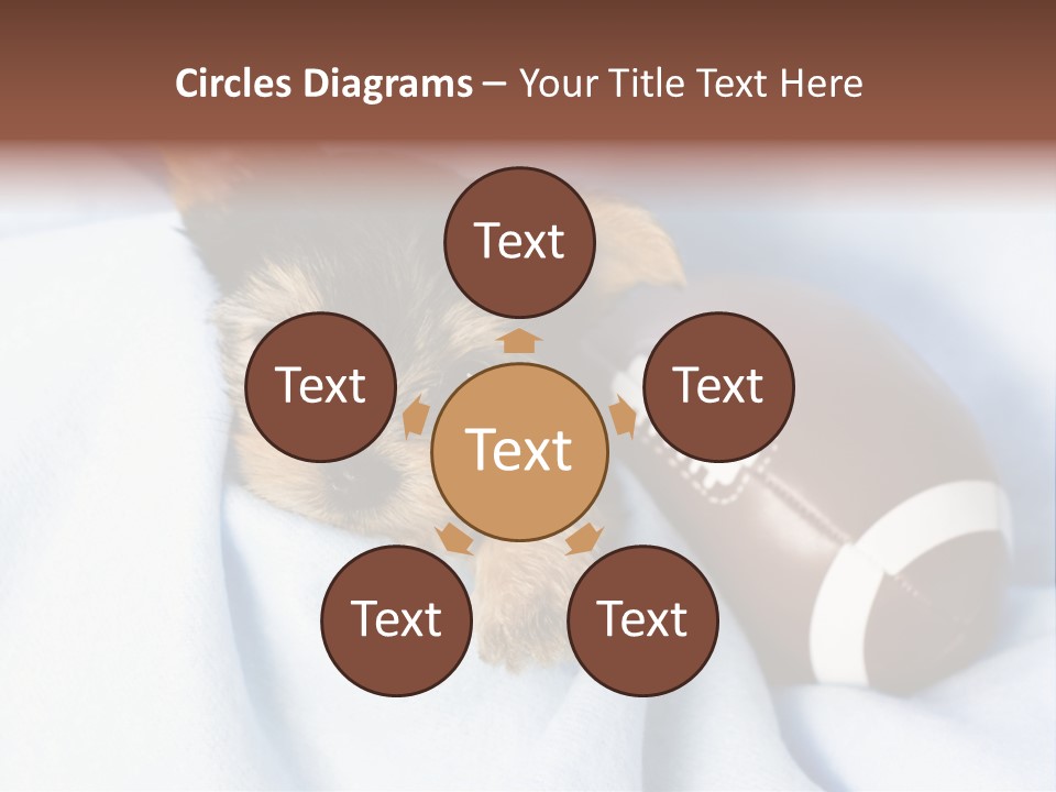 Woman Elderly Lifestyle PowerPoint Template