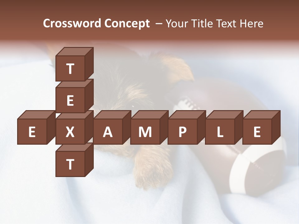 Woman Elderly Lifestyle PowerPoint Template