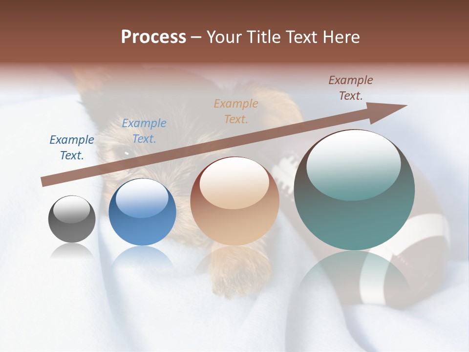 Woman Elderly Lifestyle PowerPoint Template