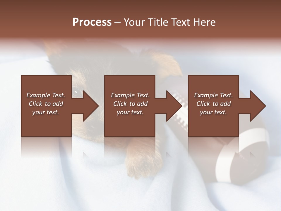 Woman Elderly Lifestyle PowerPoint Template