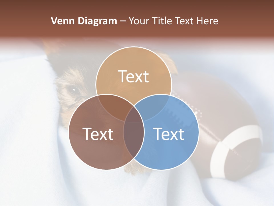 Woman Elderly Lifestyle PowerPoint Template