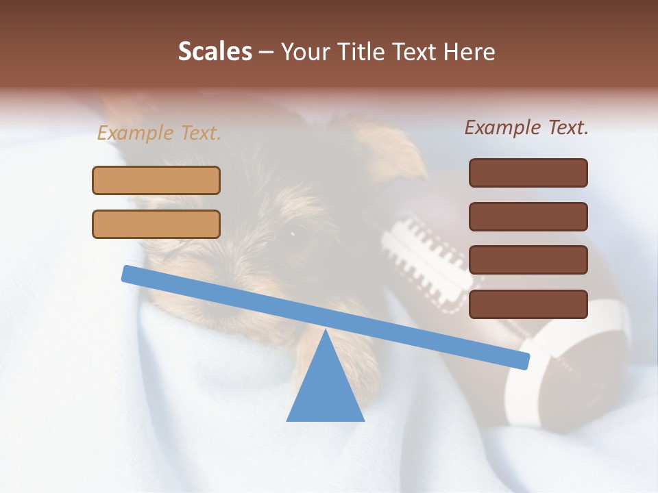 Woman Elderly Lifestyle PowerPoint Template