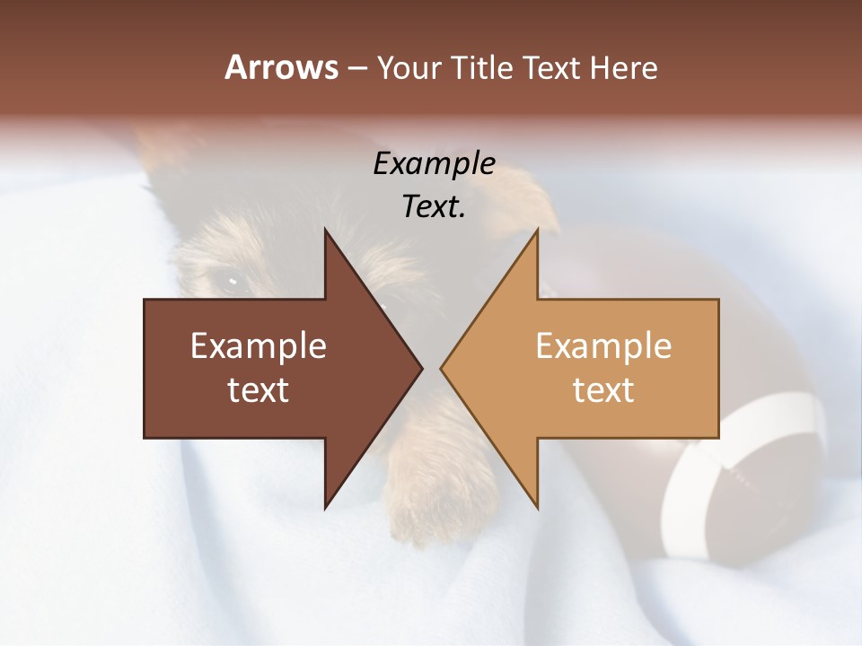 Woman Elderly Lifestyle PowerPoint Template